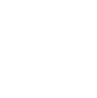 Disney VIP Tours